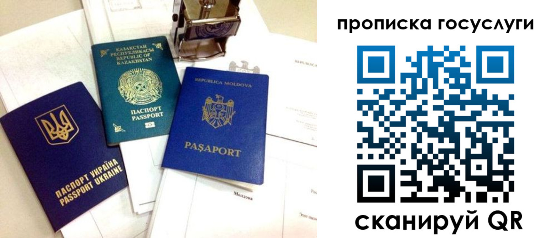 найти адрес прописки в Елизово